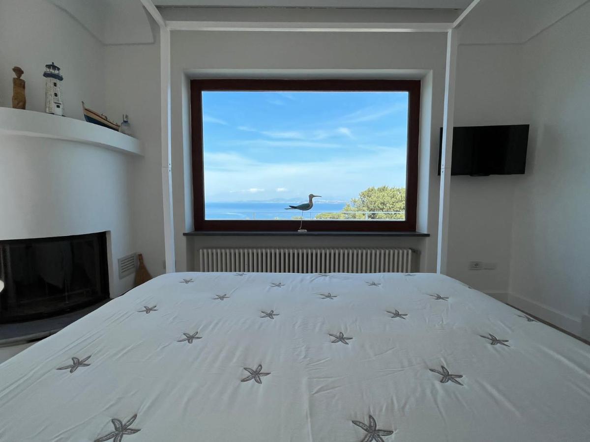 Agapanto Luxury Accommodation 카사밋쵸라테르메 외부 사진