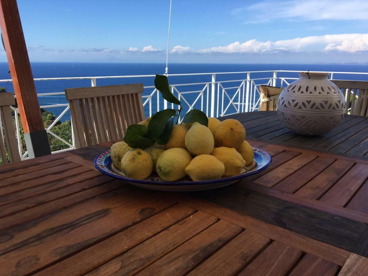 Agapanto Luxury Accommodation 카사밋쵸라테르메 외부 사진